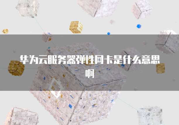 华为云服务器弹性网卡是什么意思啊