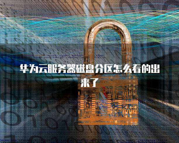 华为云服务器磁盘分区怎么看的出来了
