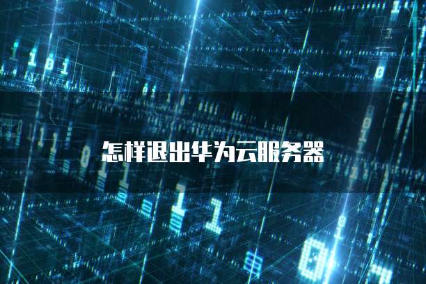 怎样退出华为云服务器