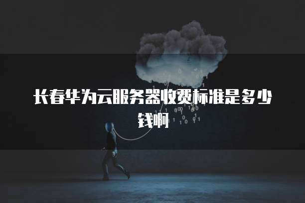 长春华为云服务器收费标准是多少钱啊