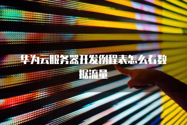 华为云服务器开发例程表怎么看数据流量