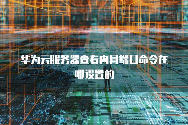 华为云服务器查看内网端口命令在哪设置的