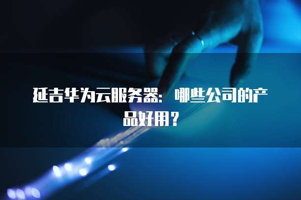 延吉华为云服务器：哪些公司的产品好用？