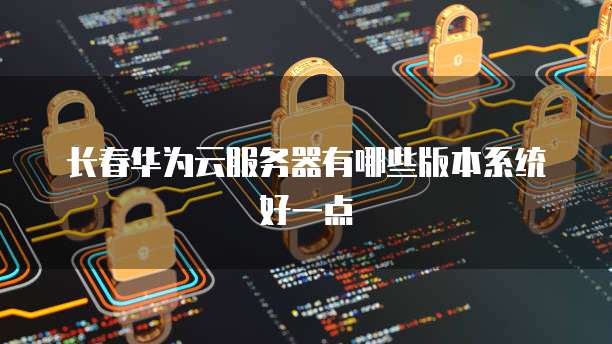 长春华为云服务器有哪些版本系统好一点