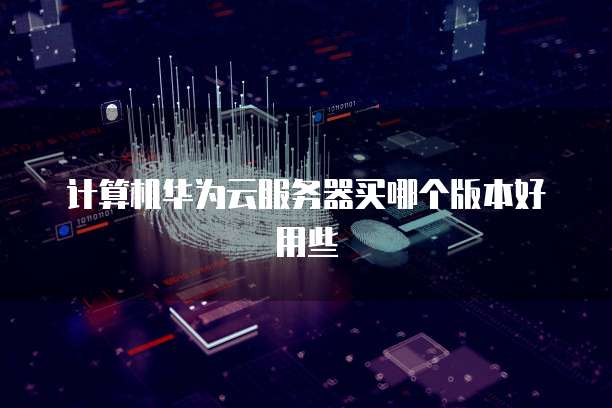 计算机华为云服务器买哪个版本好用些