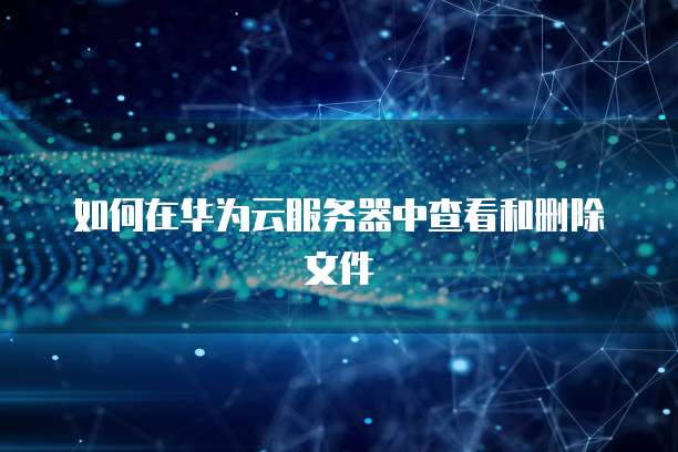如何在华为云服务器中查看和删除文件