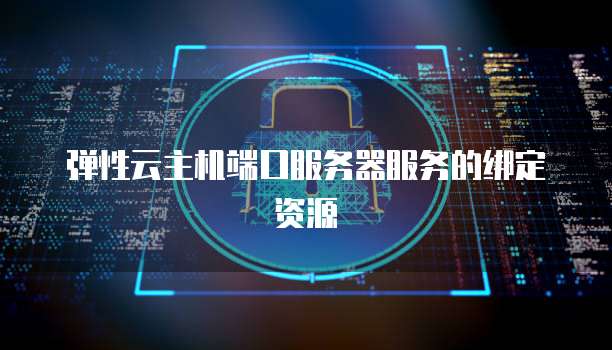 弹性云主机端口服务器服务的绑定资源