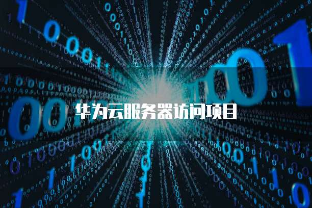 华为云服务器访问项目