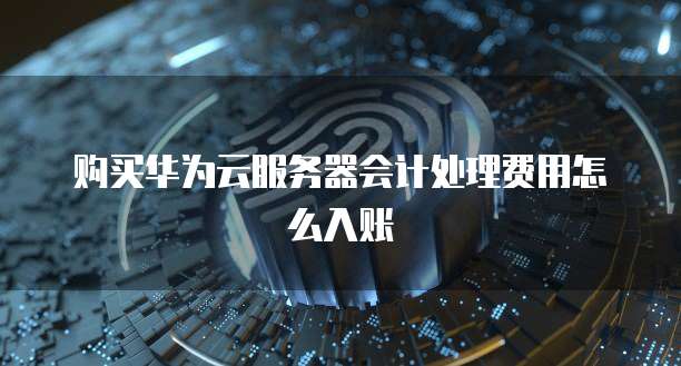购买华为云服务器会计处理费用怎么入账