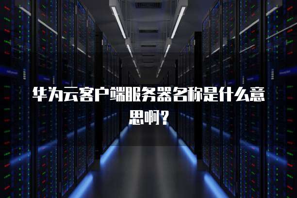 华为云客户端服务器名称是什么意思啊？