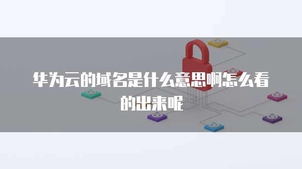 华为云的域名是什么意思啊怎么看的出来呢