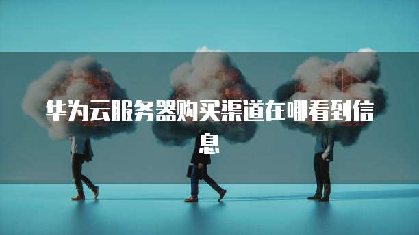 华为云服务器购买渠道在哪看到信息