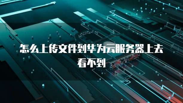 怎么上传文件到华为云服务器上去看不到