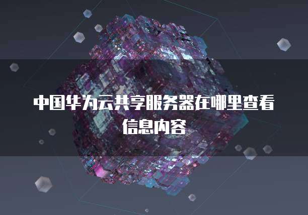 中国华为云共享服务器在哪里查看信息内容