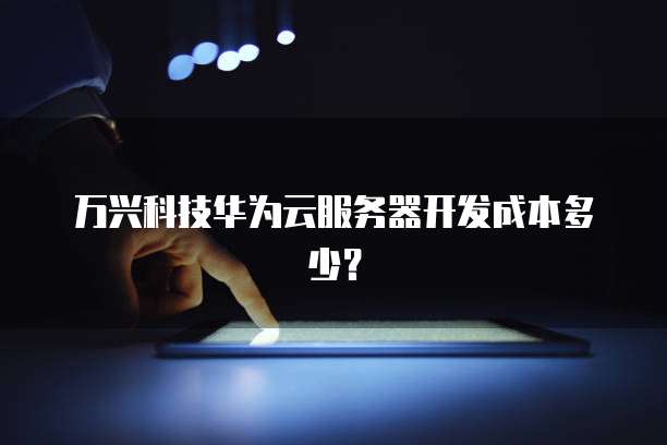 万兴科技华为云服务器开发成本多少？