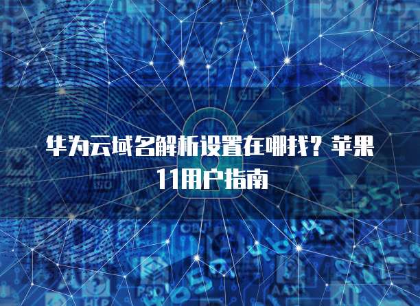 华为云域名解析设置在哪找？苹果11用户指南