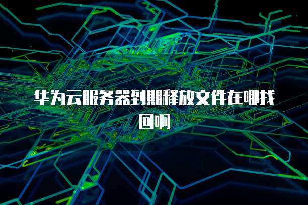华为云服务器到期释放文件在哪找回啊