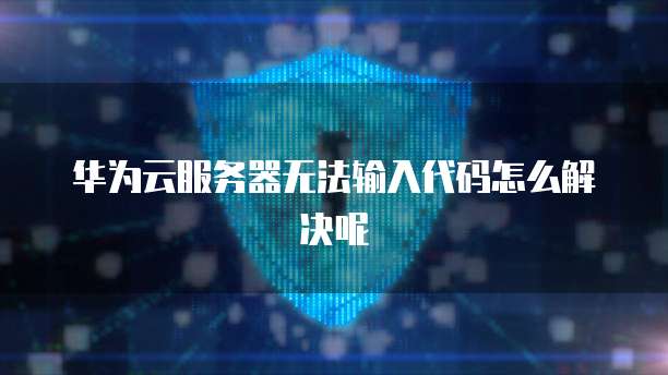 华为云服务器无法输入代码怎么解决呢