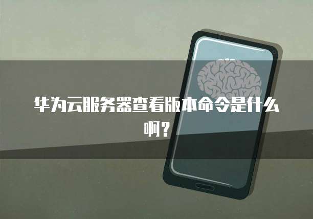 华为云服务器查看版本命令是什么啊？