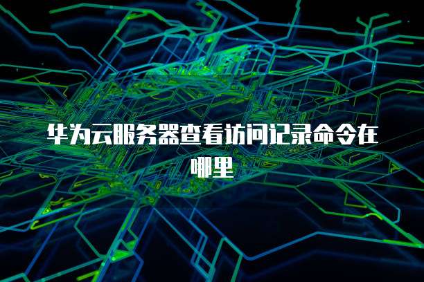 华为云服务器查看访问记录命令在哪里