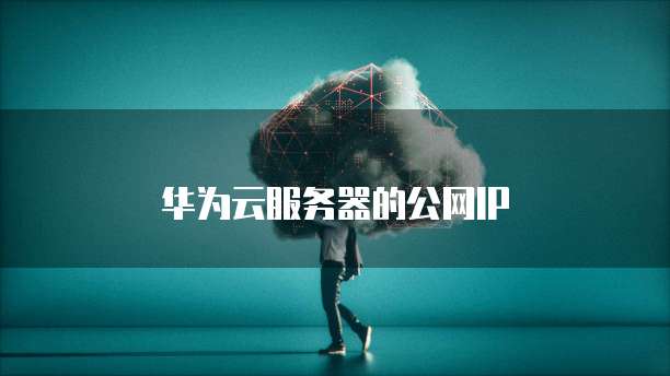 华为云服务器的公网IP