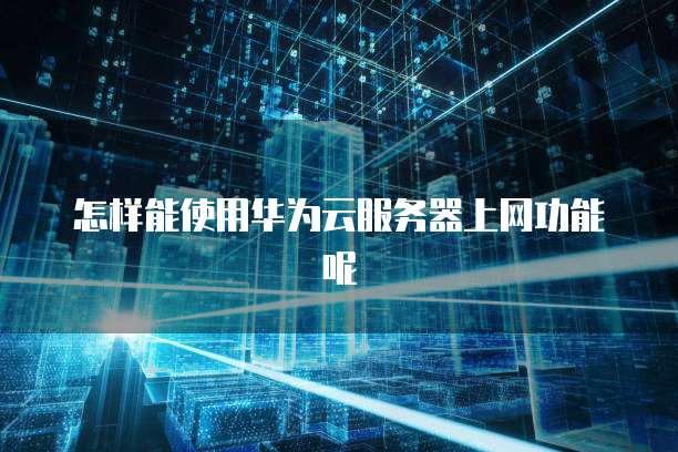 怎样能使用华为云服务器上网功能呢