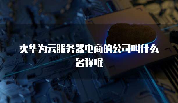 卖华为云服务器电商的公司叫什么名称呢