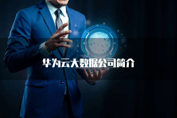华为云大数据公司简介