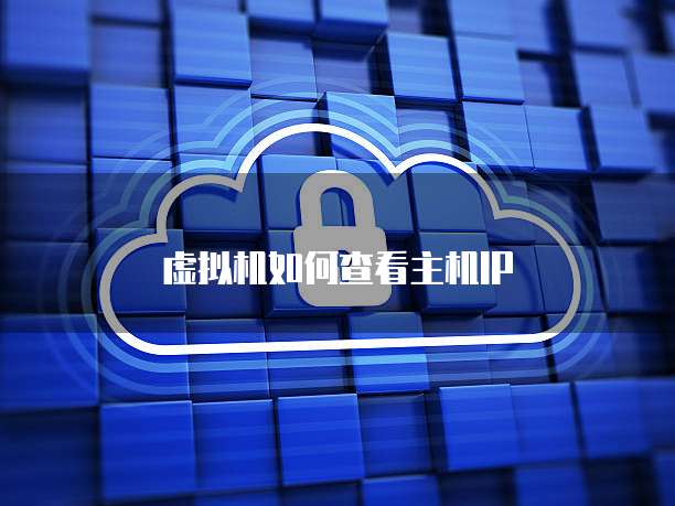 虚拟机如何查看主机IP