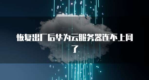恢复出厂后华为云服务器连不上网了