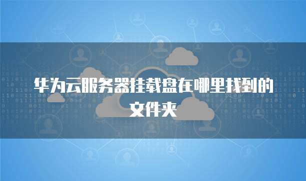 华为云服务器挂载盘在哪里找到的文件夹