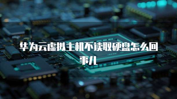 华为云虚拟主机不读取硬盘怎么回事儿