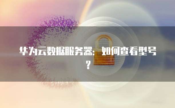 华为云数据服务器：如何查看型号？