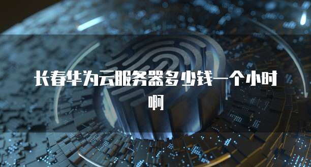 长春华为云服务器多少钱一个小时啊
