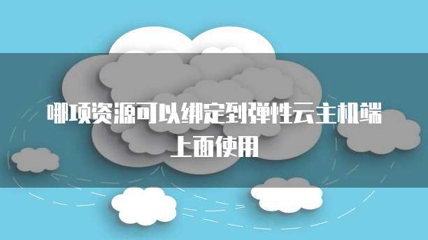 哪项资源可以绑定到弹性云主机端上面使用