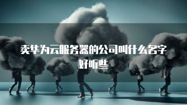 卖华为云服务器的公司叫什么名字好听些