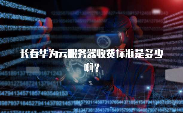 长春华为云服务器收费标准是多少啊？