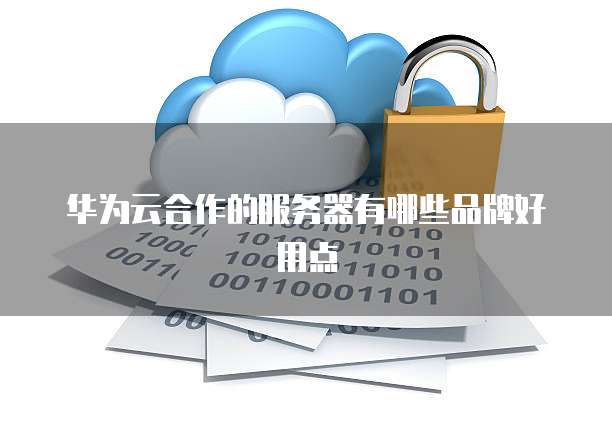 华为云合作的服务器有哪些品牌好用点