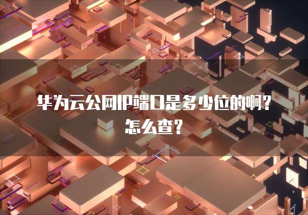 华为云公网IP端口是多少位的啊？怎么查？