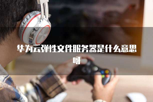 华为云弹性文件服务器是什么意思呀