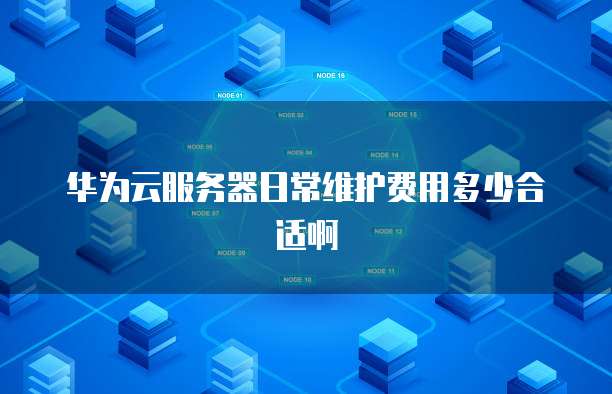 华为云服务器日常维护费用多少合适啊