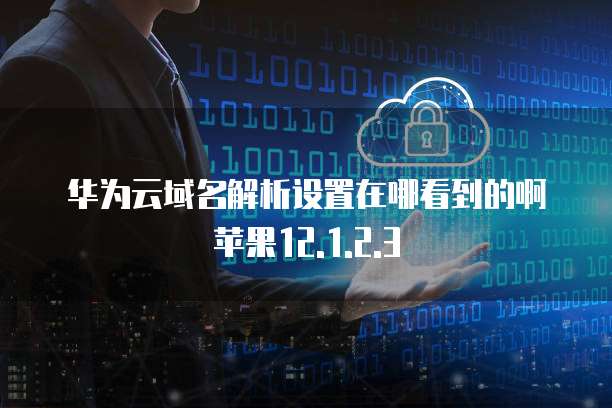 华为云域名解析设置在哪看到的啊苹果12.1.2.3