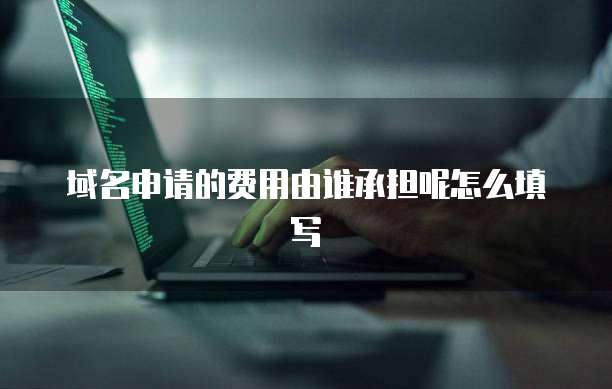 域名申请的费用由谁承担呢怎么填写