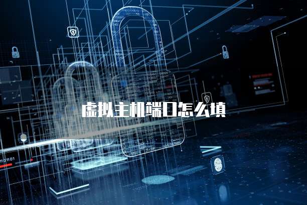 虚拟主机端口怎么填