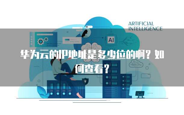 华为云的IP地址是多少位的啊？如何查看？