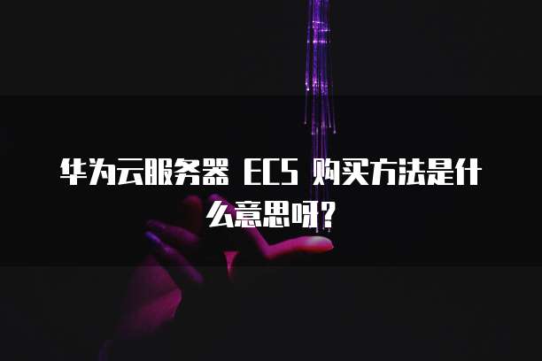 华为云服务器 ECS 购买方法是什么意思呀？
