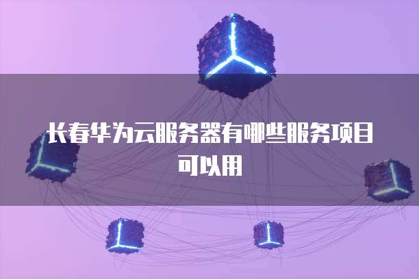长春华为云服务器有哪些服务项目可以用