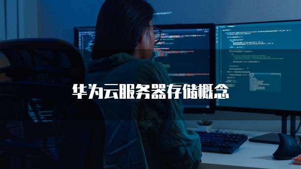 华为云服务器存储概念