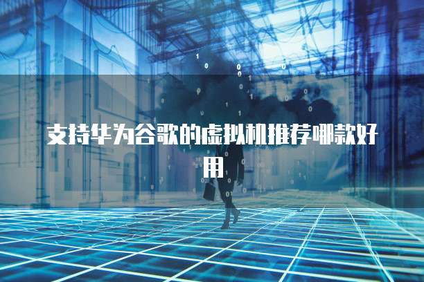 支持华为谷歌的虚拟机推荐哪款好用