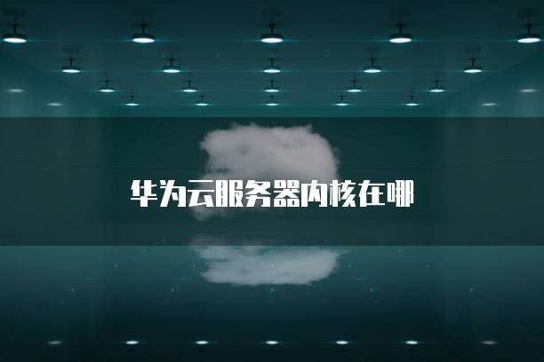 华为云服务器内核在哪